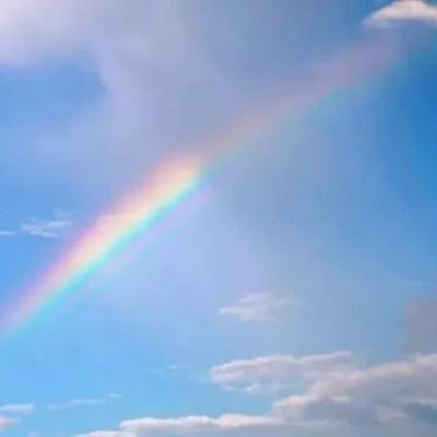 澳门王中王100%的资料